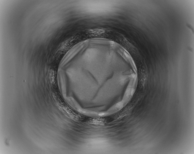 X0000100760758200807101727