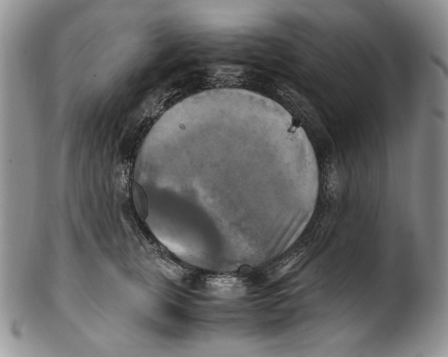 X0000100760759200807101727