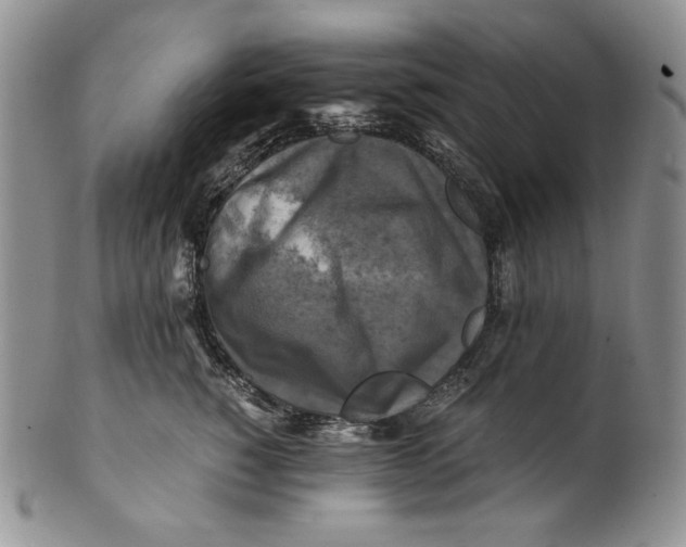 X0000100760760200807101727