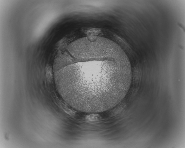 X0000100760761200807101727