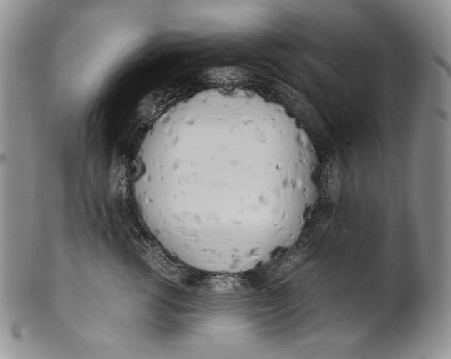 X0000100760762200807101727