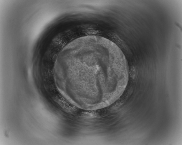 X0000100760763200807101727