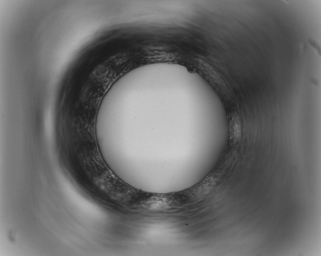 X0000100760764200807101727