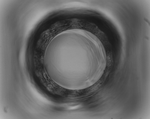 X0000100760765200807101727