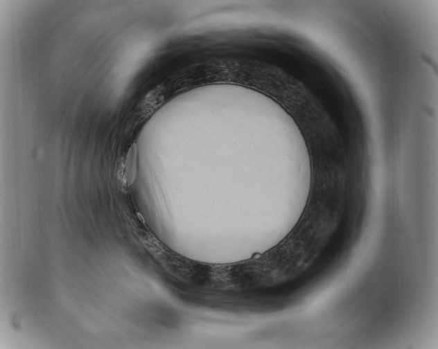 X0000100760766200807101727