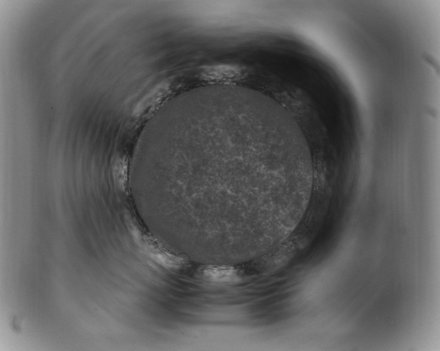X0000100760767200807101727