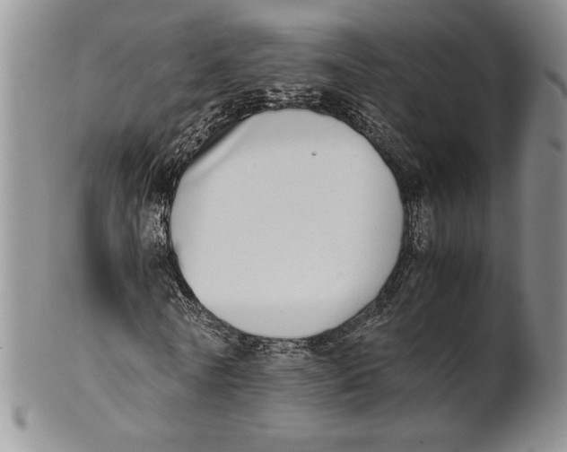 X0000100760770200807101727