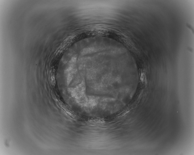 X0000100760771200807101727