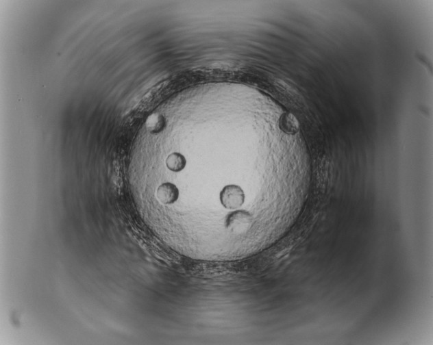X0000100760774200807101727