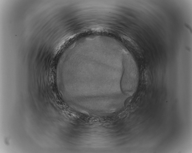 X0000100760776200807101727