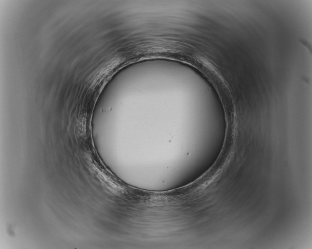 X0000100760777200807101727