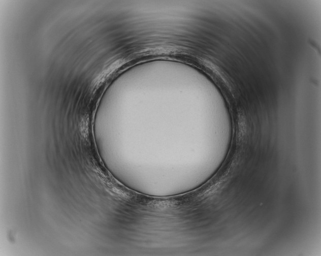X0000100760778200807101727