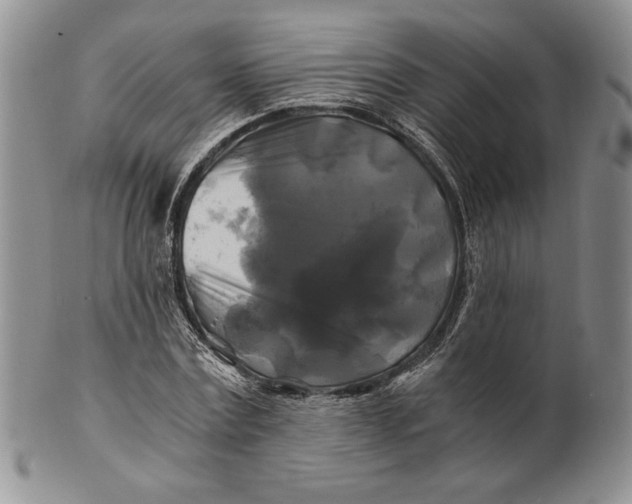 X0000100760779200807101727