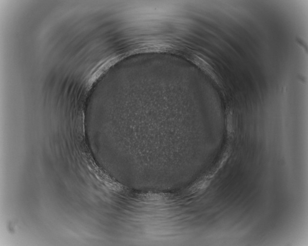 X0000100760781200807101726