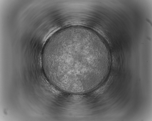 X0000100760782200807101726