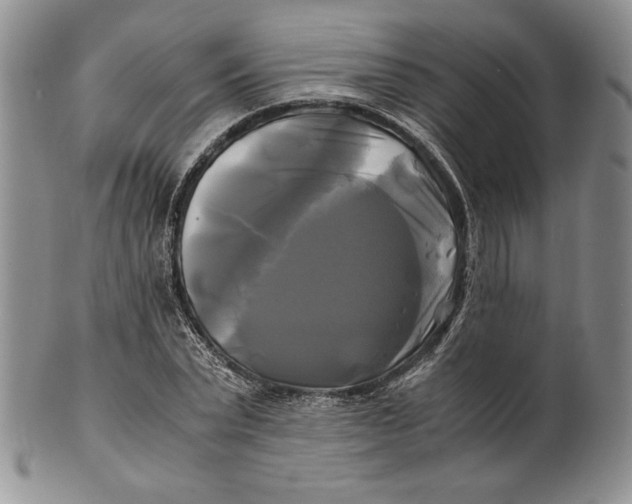 X0000100760783200807101726