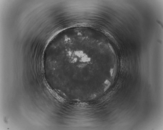 X0000100760784200807101726