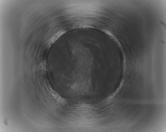 X0000100760785200807101726
