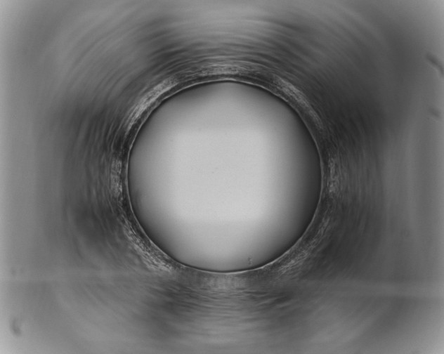 X0000100760786200807101726