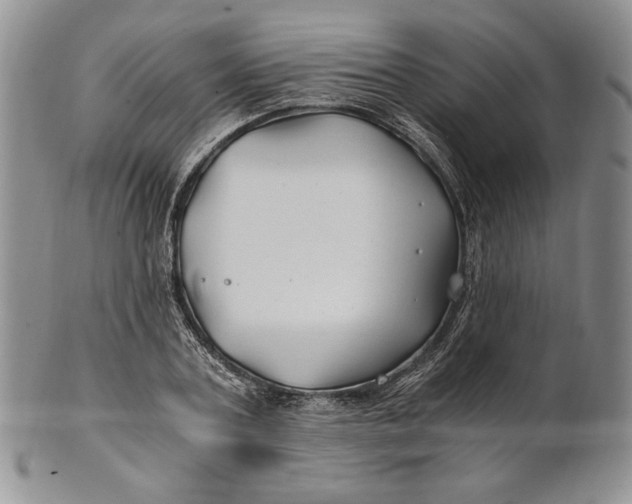 X0000100760787200807101726