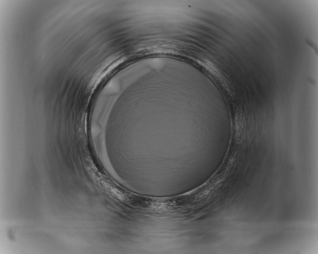 X0000100760790200807101726