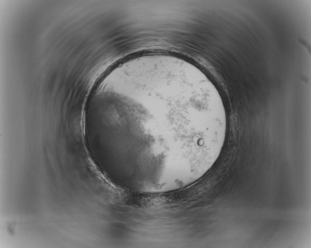 X0000100760791200807101726