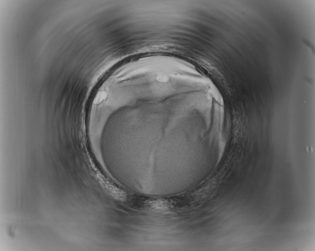 X0000100760792200807101726