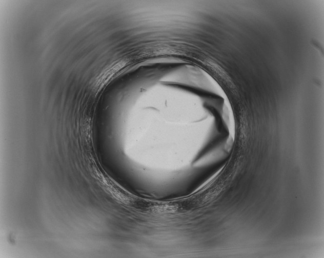 X0000100760793200807101726