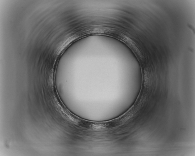 X0000100760794200807101726