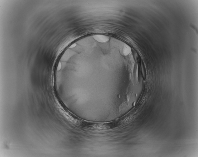X0000100760795200807101726