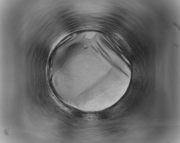 X0000100760796200807101726