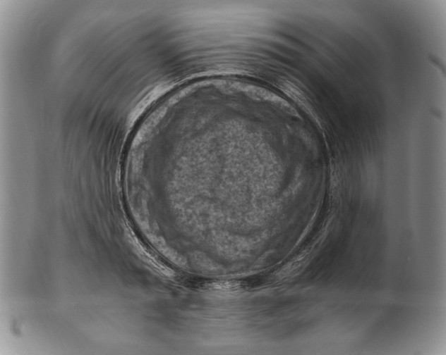 X0000100760797200807101726