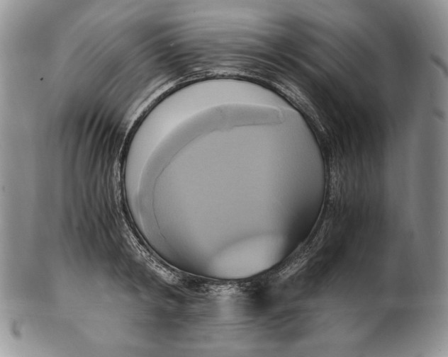 X0000100760798200807101726