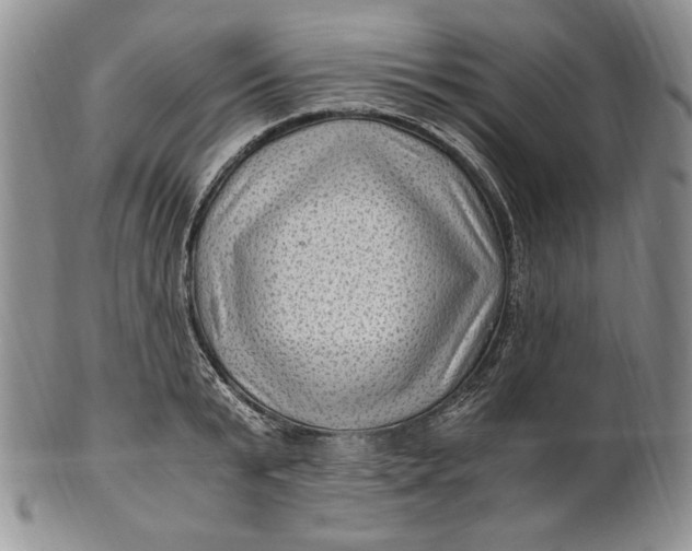 X0000100760799200807101726