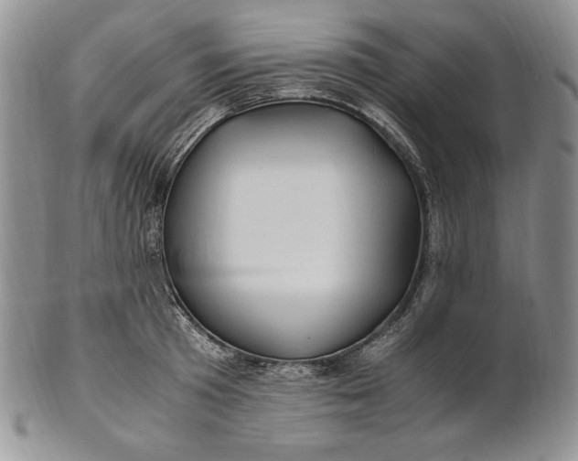 X0000100760801200807101726