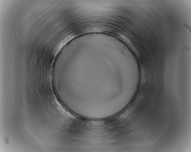 X0000100760802200807101726