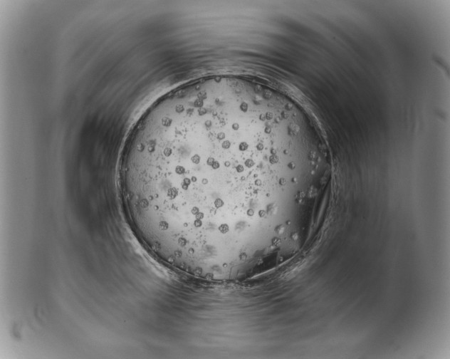 X0000100760803200807101726