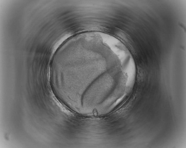 X0000100760804200807101726