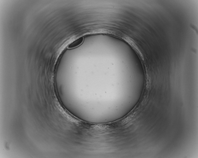 X0000100760805200807101726