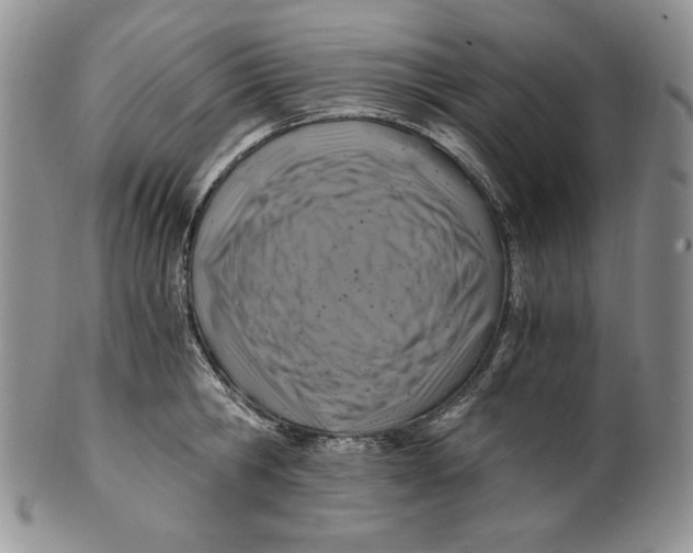 X0000100760806200807101726