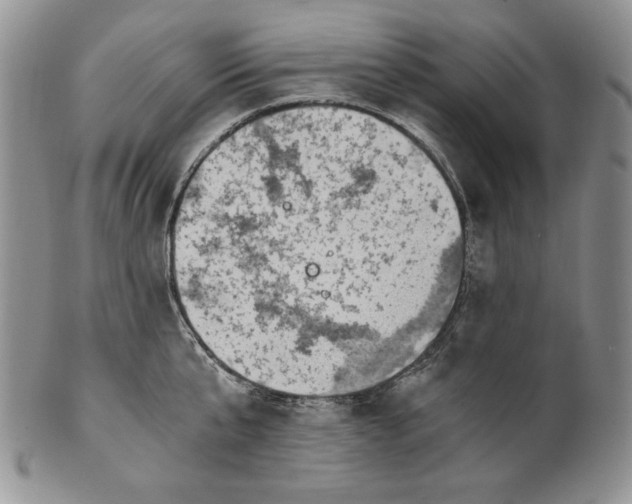 X0000100760807200807101726