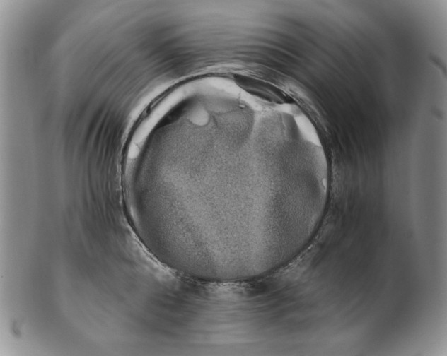 X0000100760808200807101726