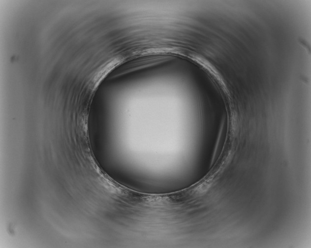 X0000100760809200807101726