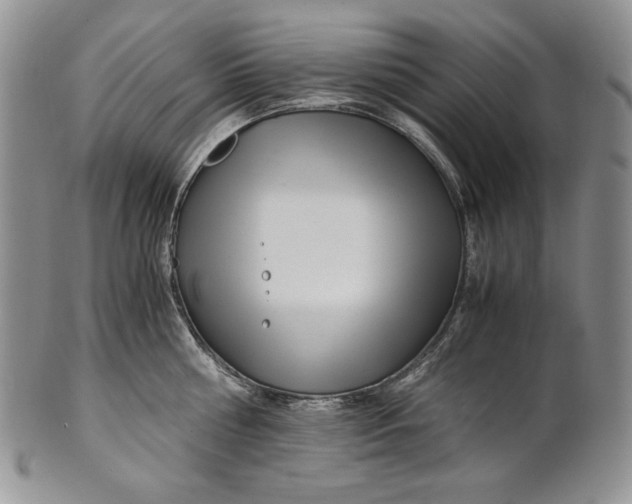 X0000100760810200807101726