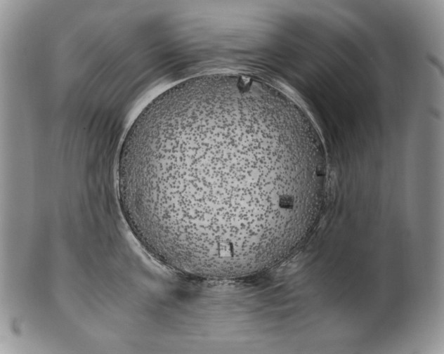X0000100760811200807101726