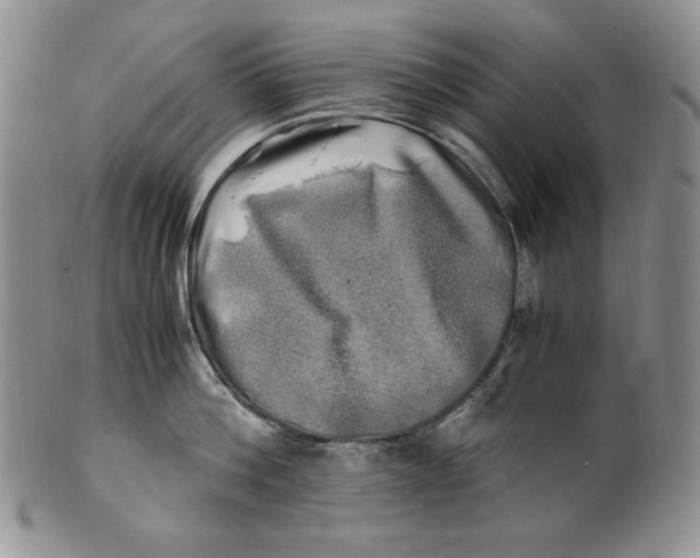 X0000100760812200807101726