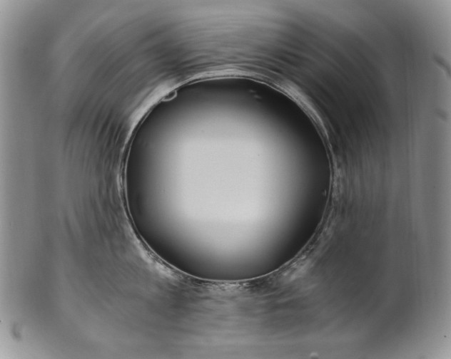 X0000100760813200807101726