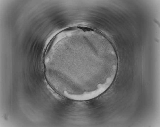 X0000100760816200807101726