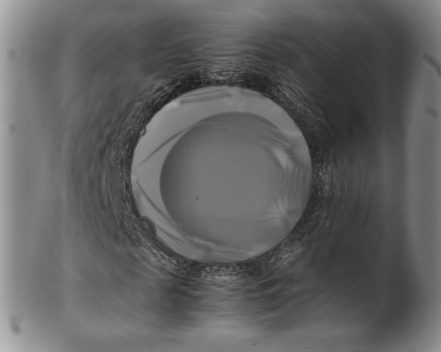 X0000100760817200807101725