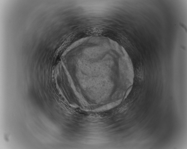 X0000100760818200807101725